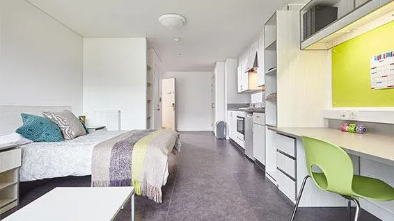 Bedroom showing bed, desk and shelving