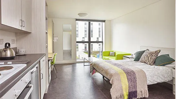 Studio room showing cookie area, bed and large window