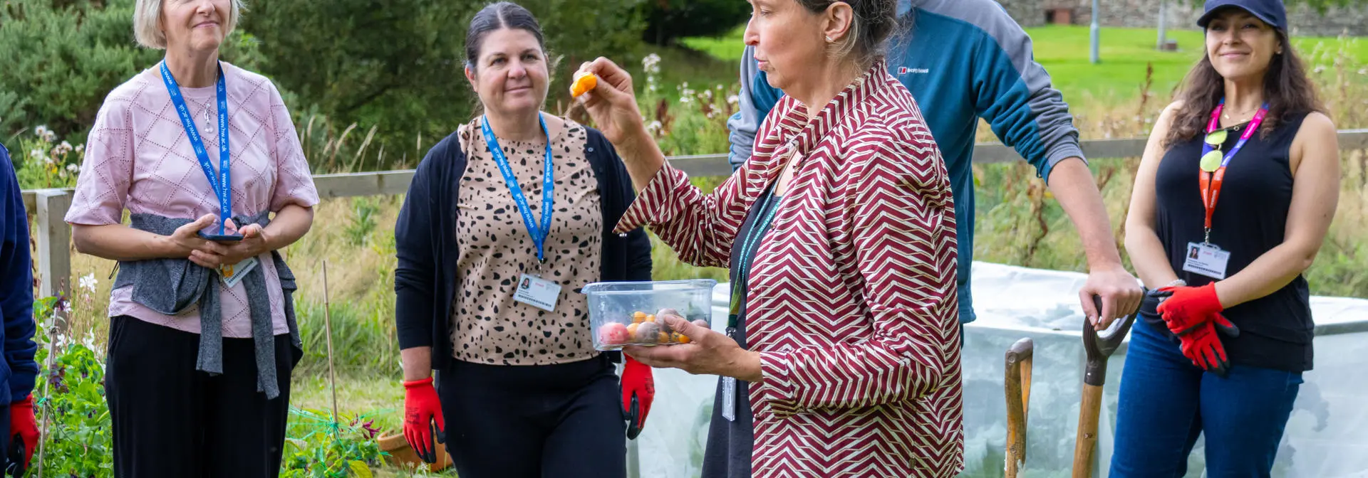Group of people working on an allotment