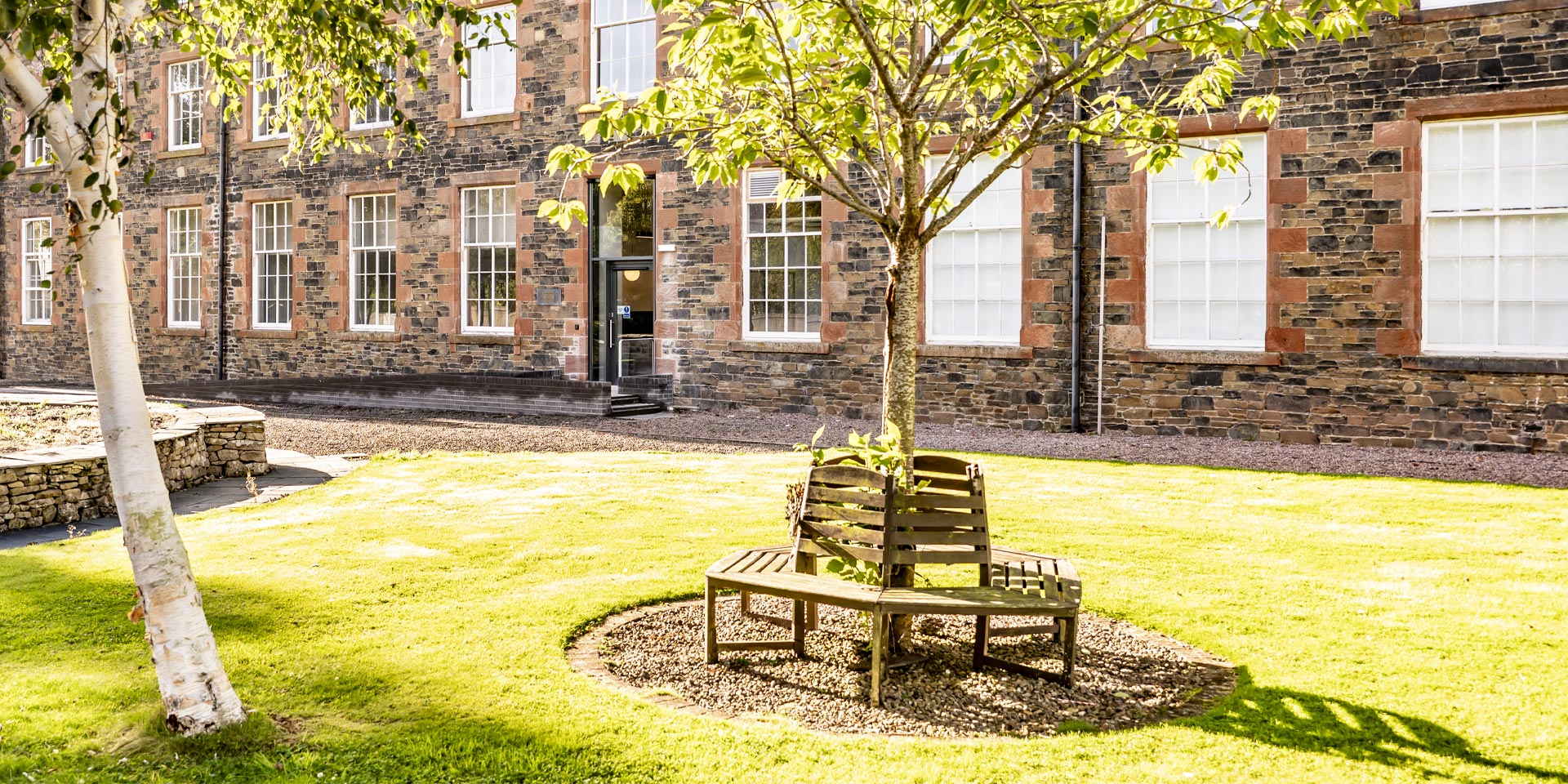 A wooden bench positioned around a tree, surrounded by lush green grass in a serene outdoor setting.