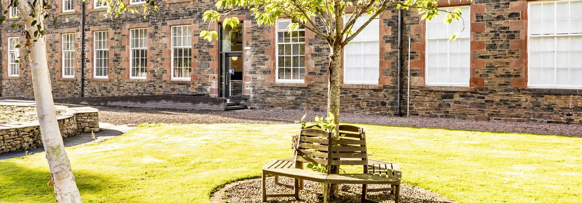 A wooden bench positioned around a tree, surrounded by lush green grass in a serene outdoor setting.