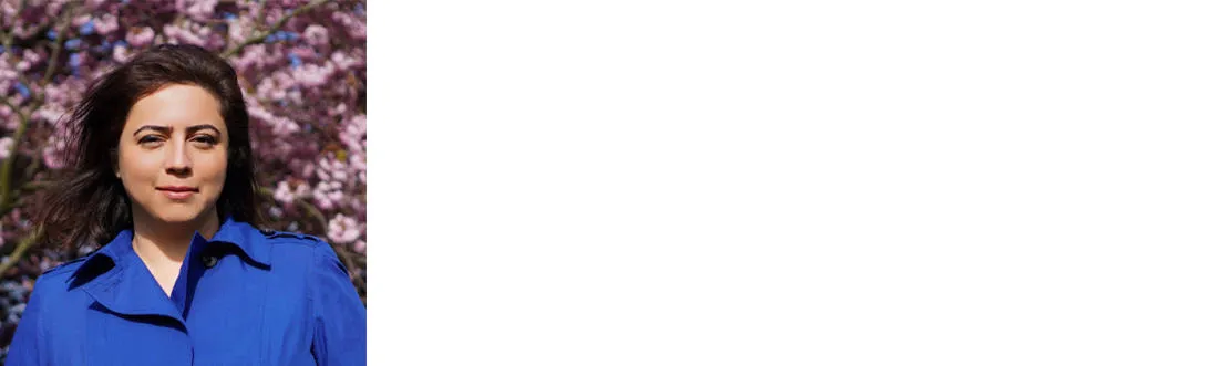 Dr Farnaz Mohsenpour