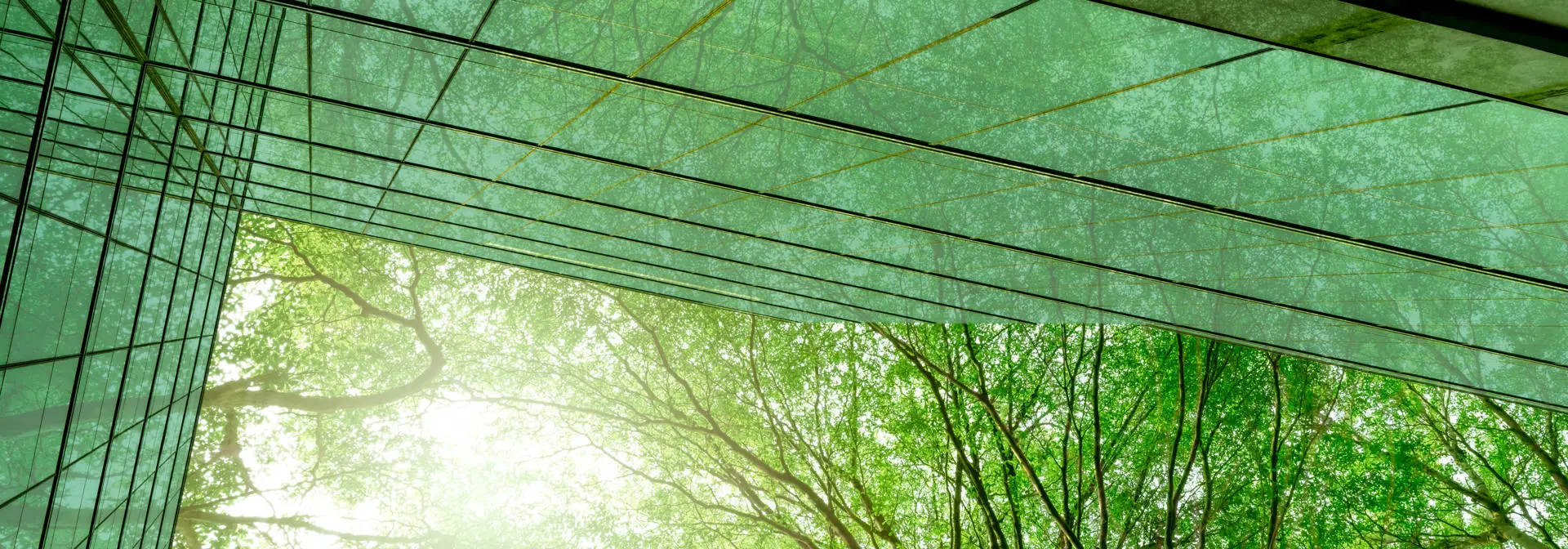 Business and Finance