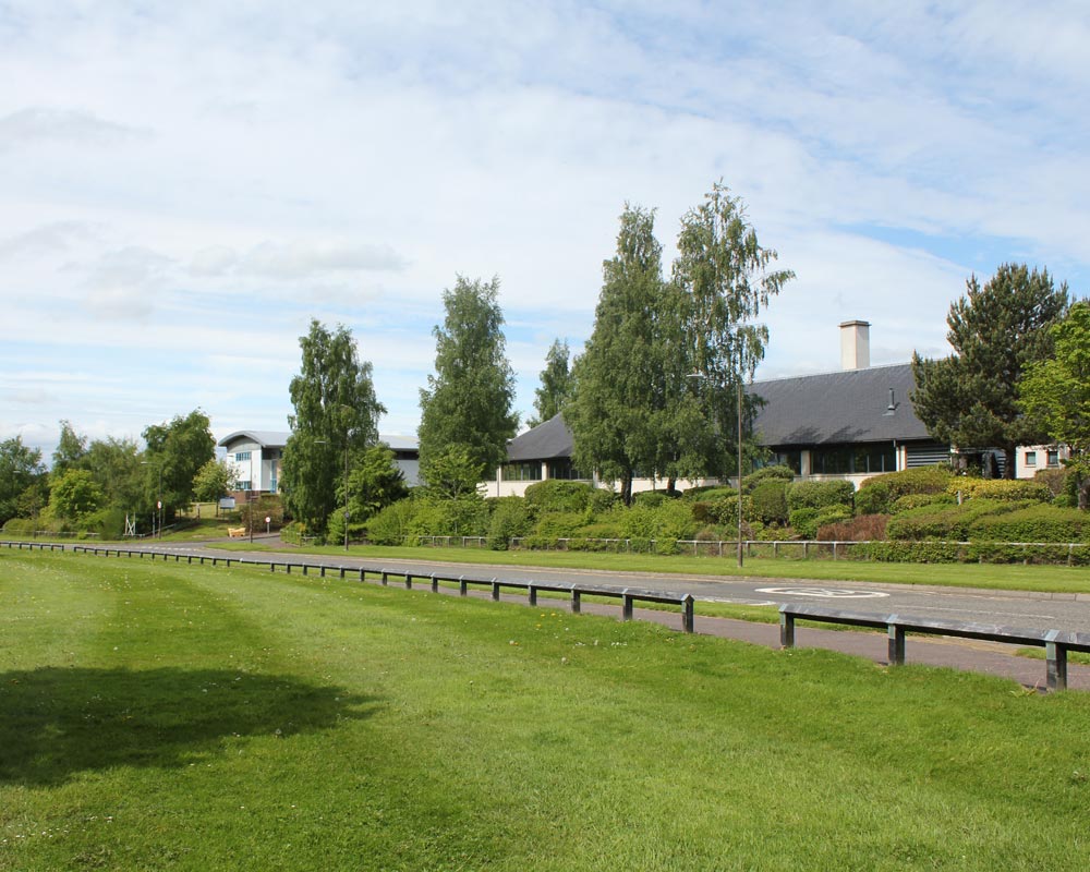 Buildings with trees and grass