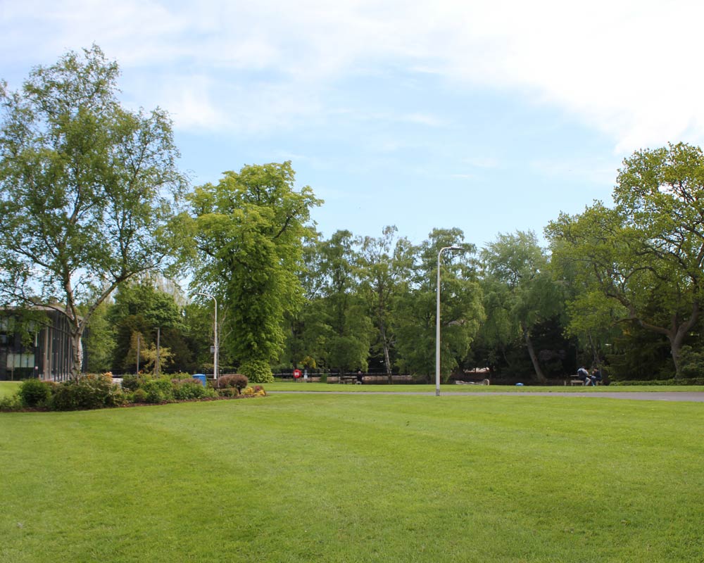 Grass area