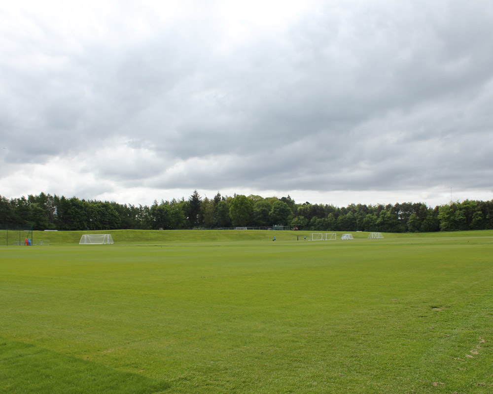 Grass sports pitches