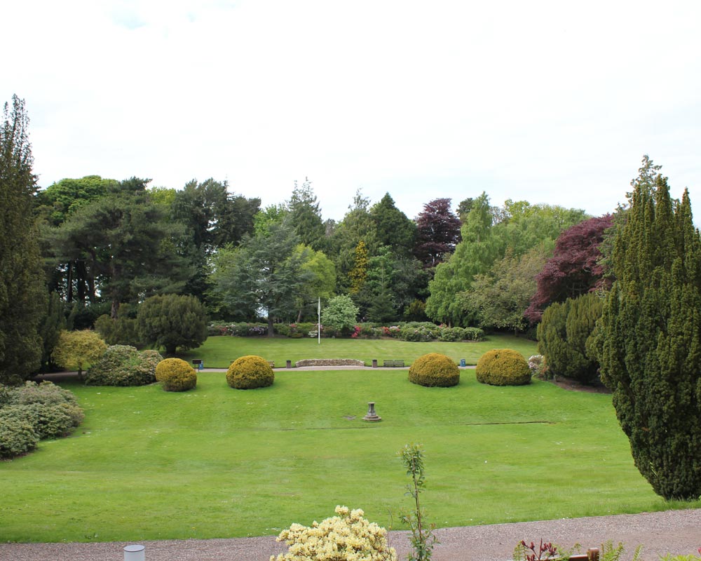 Garden lawn with large circular bushes, water fountain and tall trees