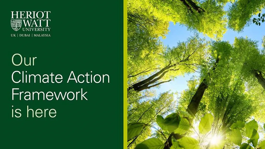 Green graphic image labelling text for Climate Action Framework beside image of trees.