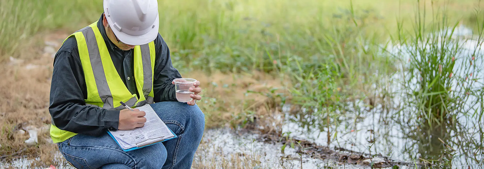 egis-iles-environmental-research