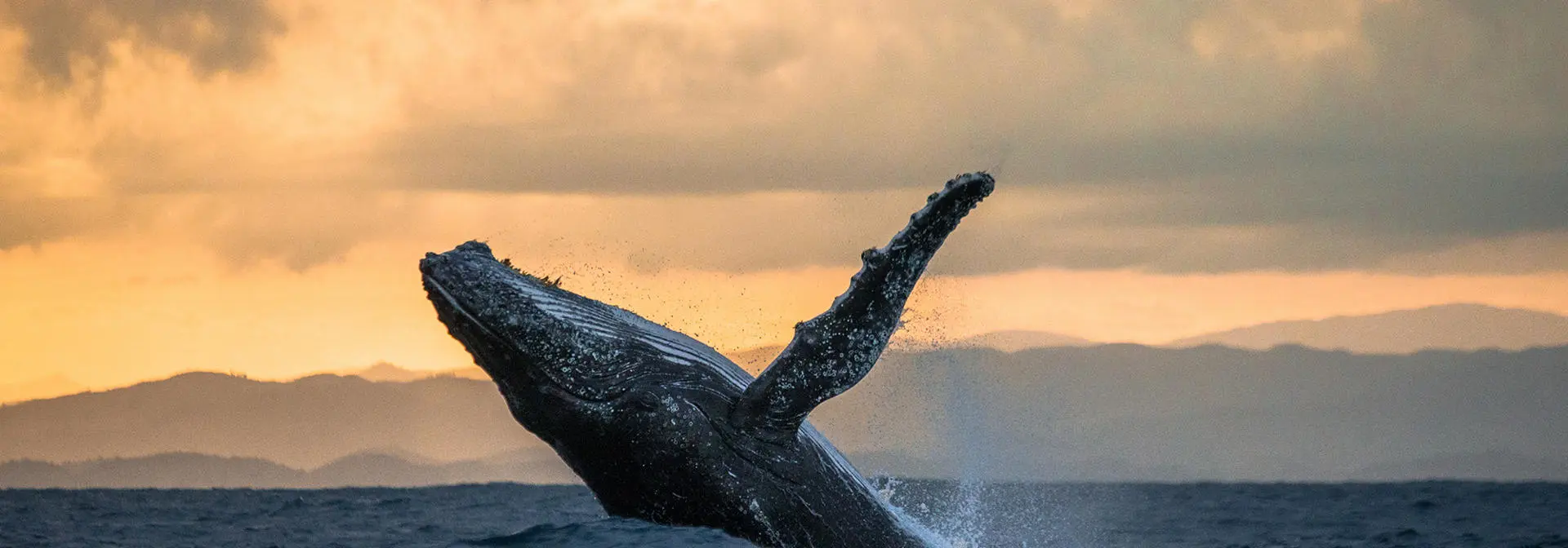 egis-iles-marine-coastal-research