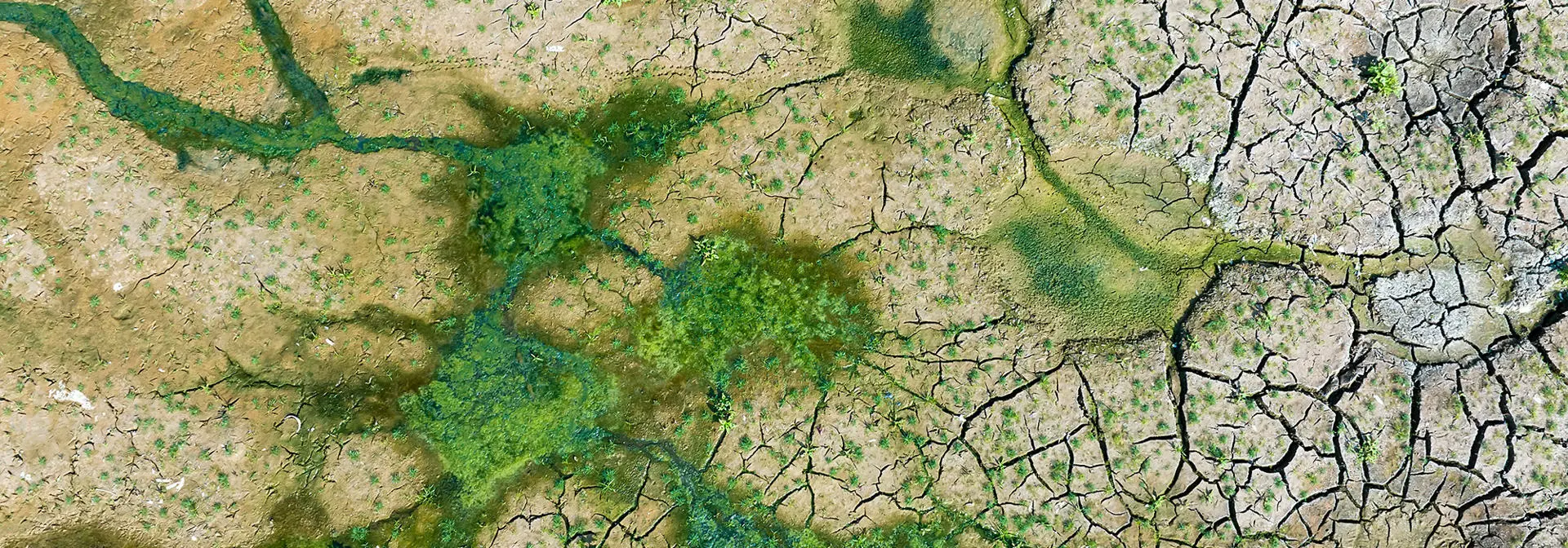 egis-iles-terrestrial-environment-science