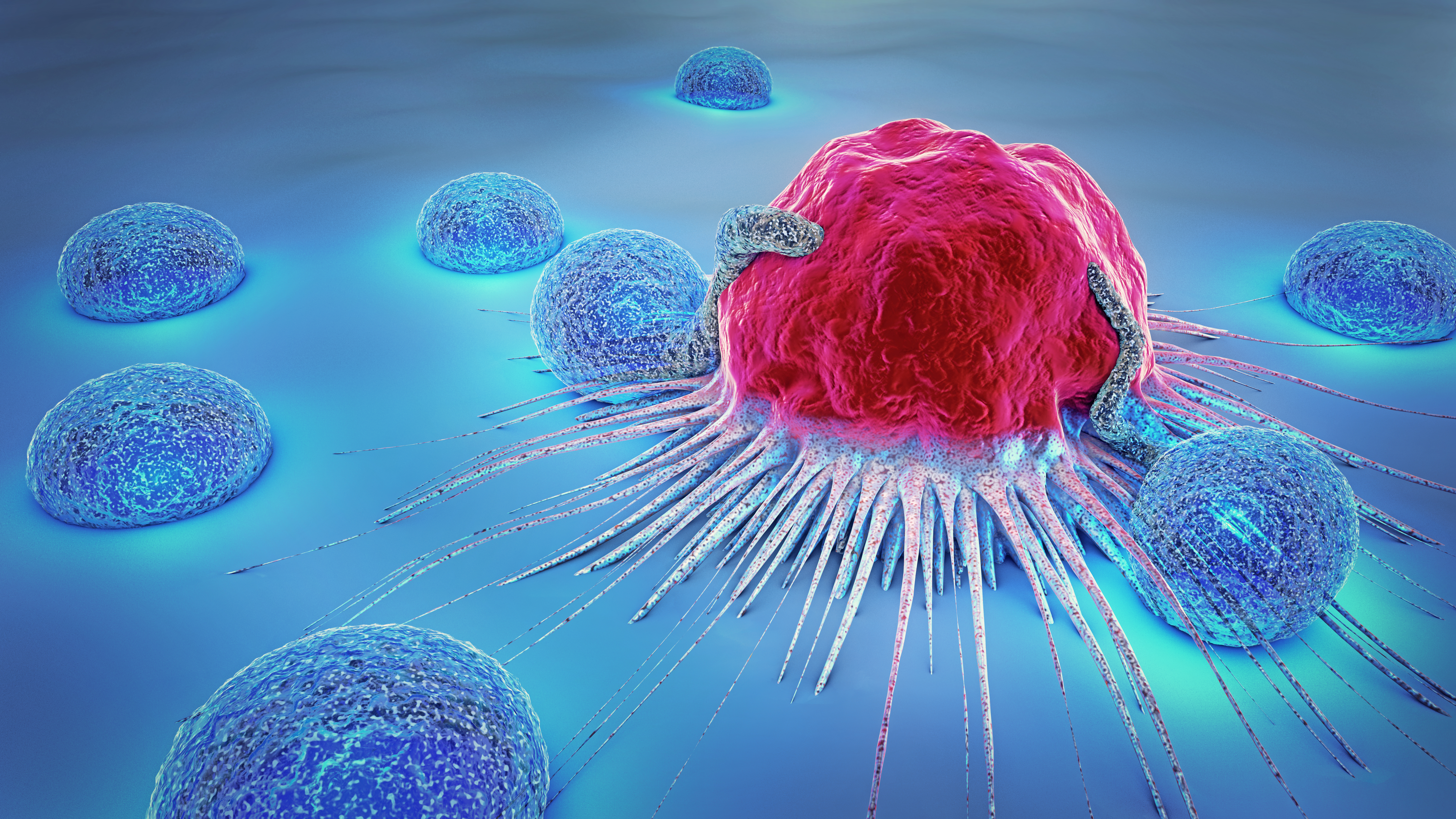 Engineering the fight against cancer