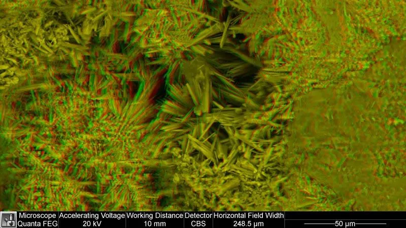 Diatomaceous Earth, comprising many diatoms. Highly porous

