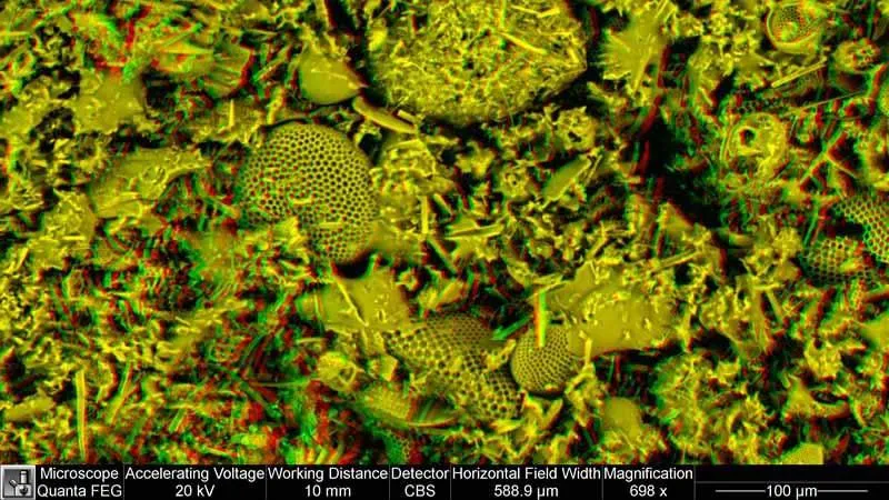 Diatomaceous Earth, comprising many diatoms. Highly porous
