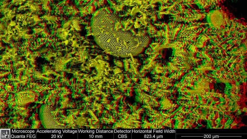 Diatomaceous Earth, comprising many diatoms. Highly porous
