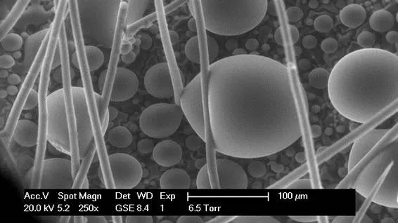Scales and hairs on an ant; full ESEM wet mode
