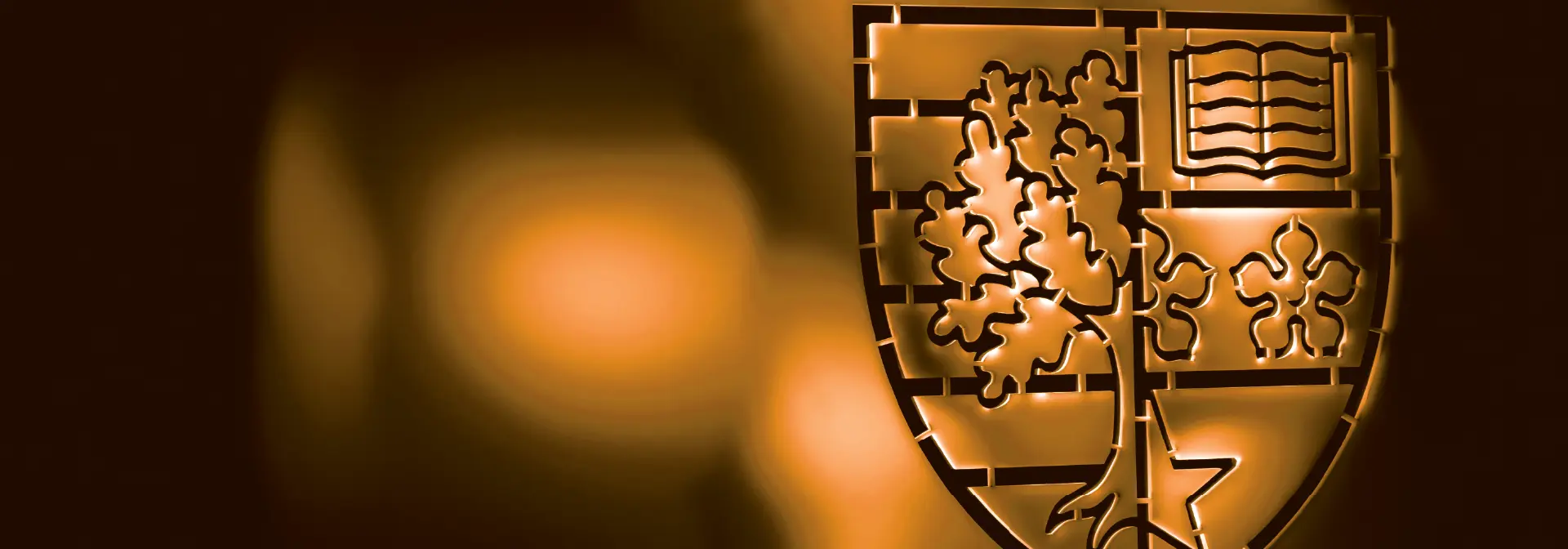brown shield