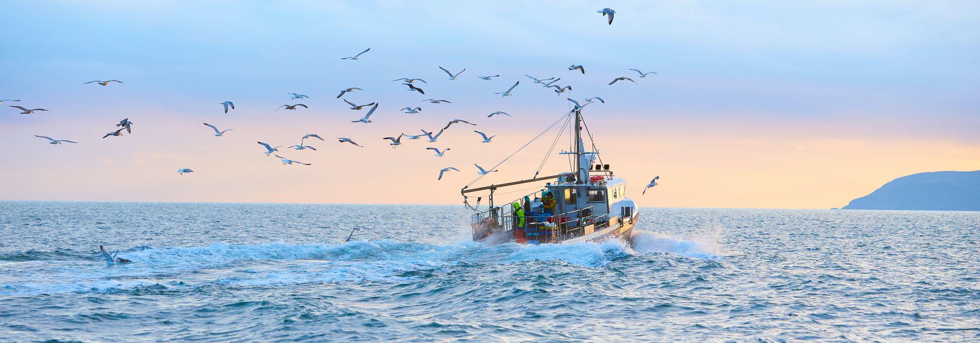 Fisheries 1920px