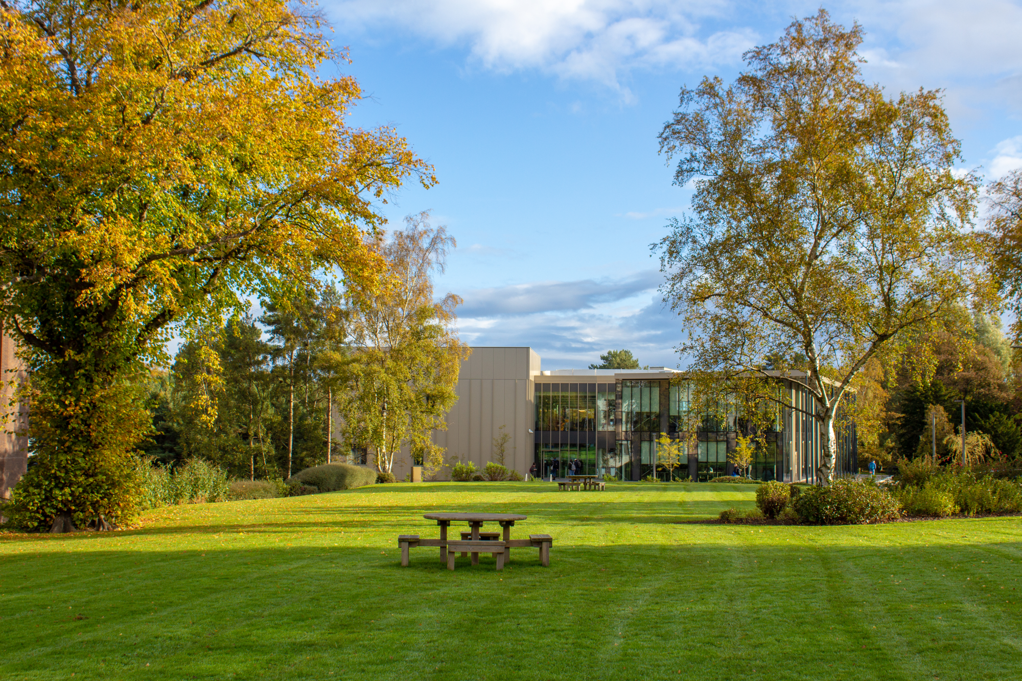grid-and-lawn-banner