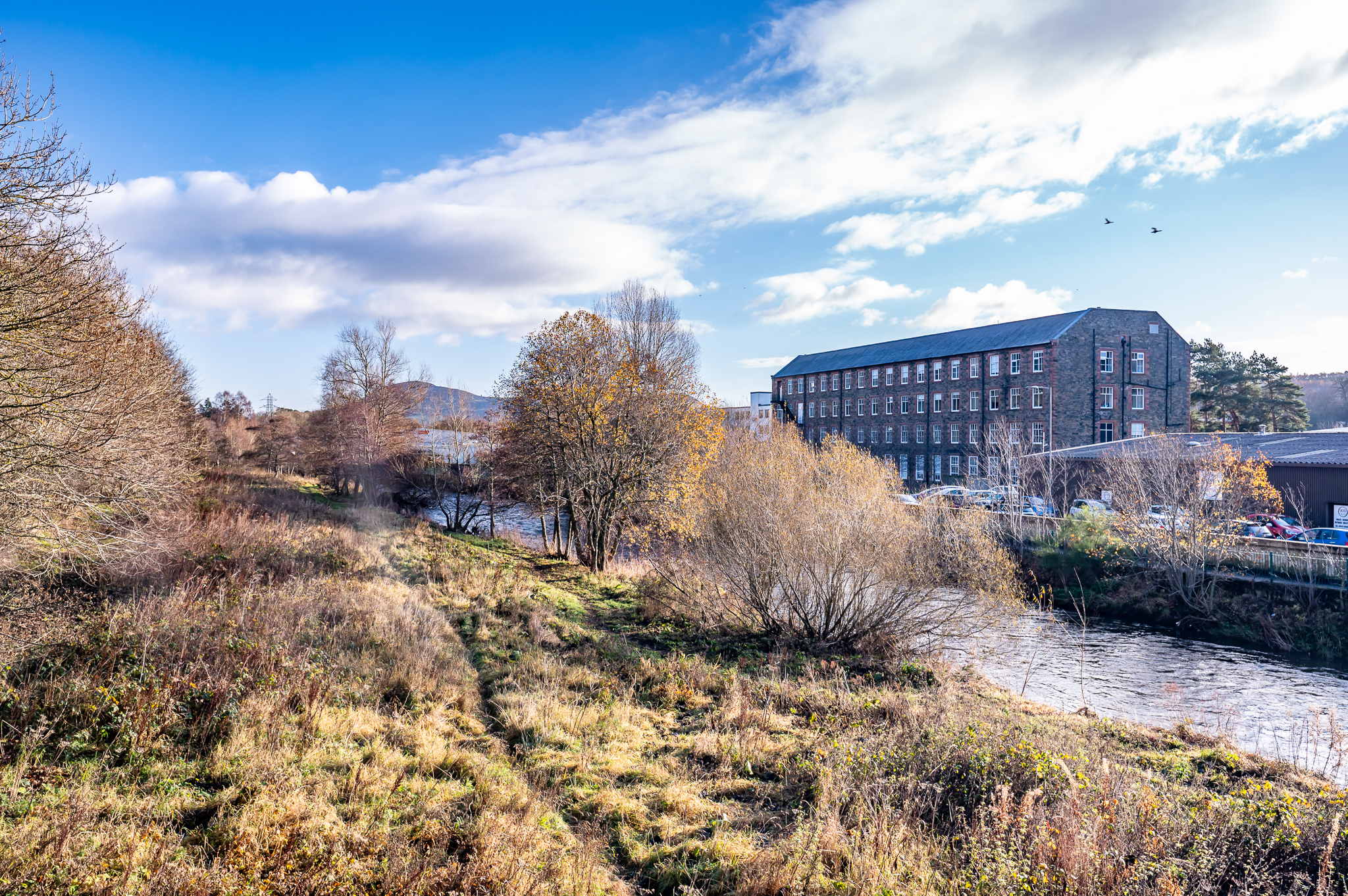 A green path with trees an a stone building opposite. 