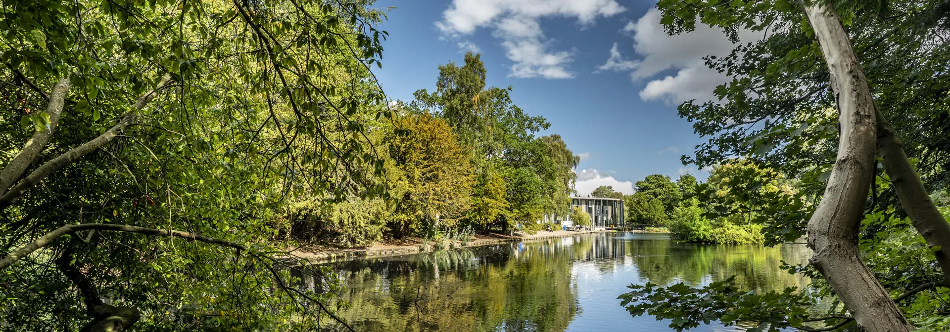 The loch through the trees looking towards the GRID building, Edinburgh Campus