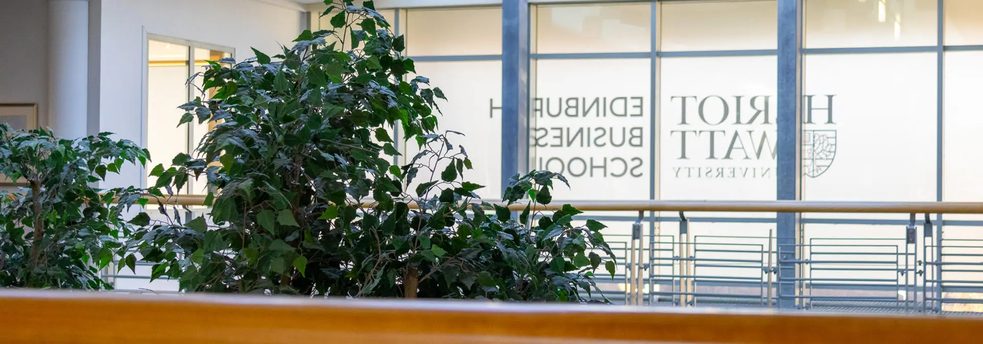 Wooden bannister inside a building with a tree in the background.