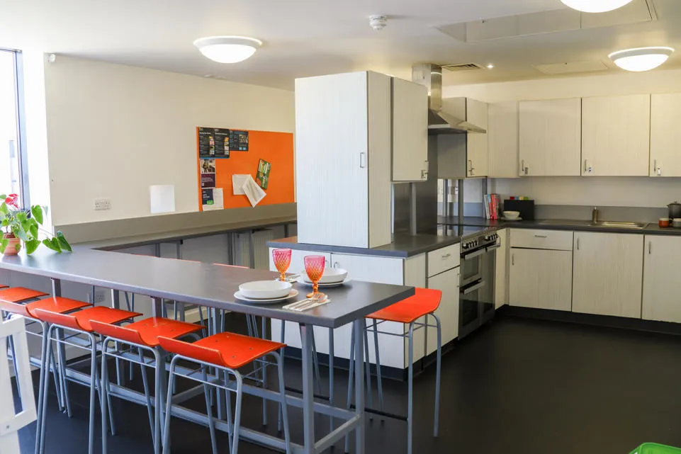A shared kitchen, which is allocated to students in a contemporary standard room.