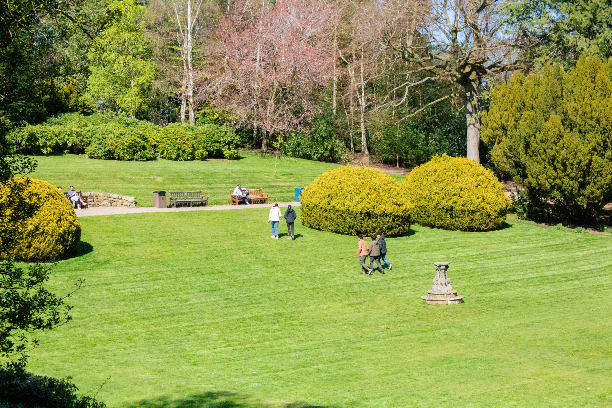 Picture of students walking across a lawn on a sunny day.