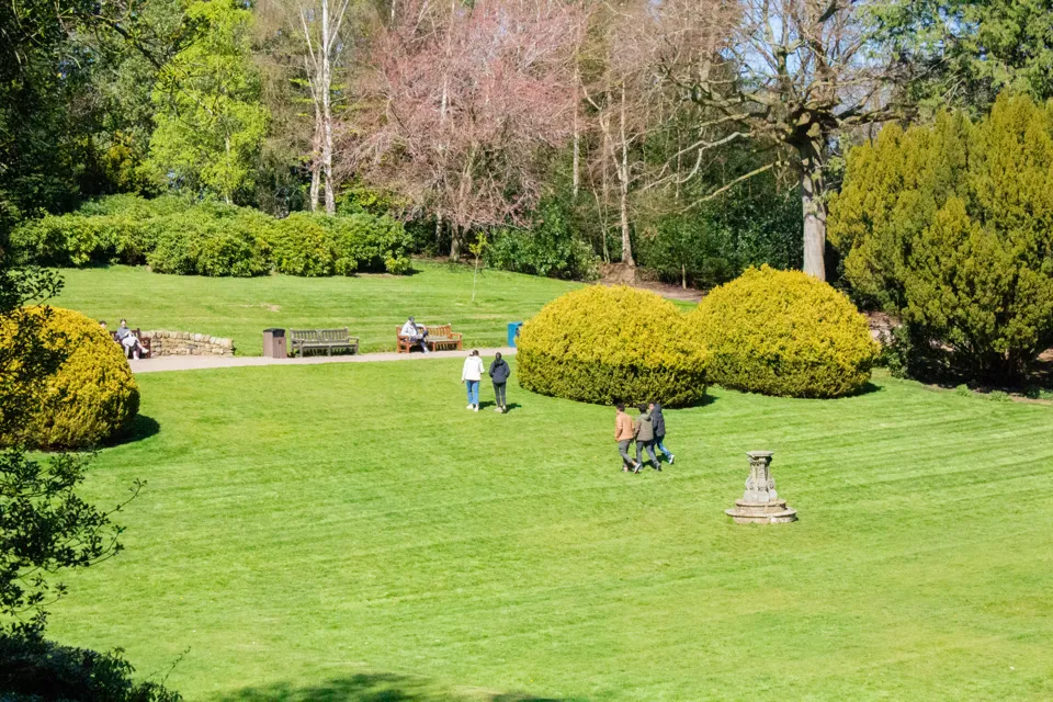 Picture of students walking across a lawn on a sunny day.