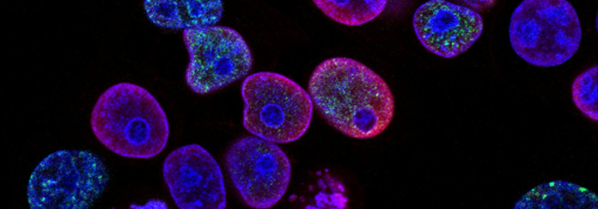 life-sciences-banner