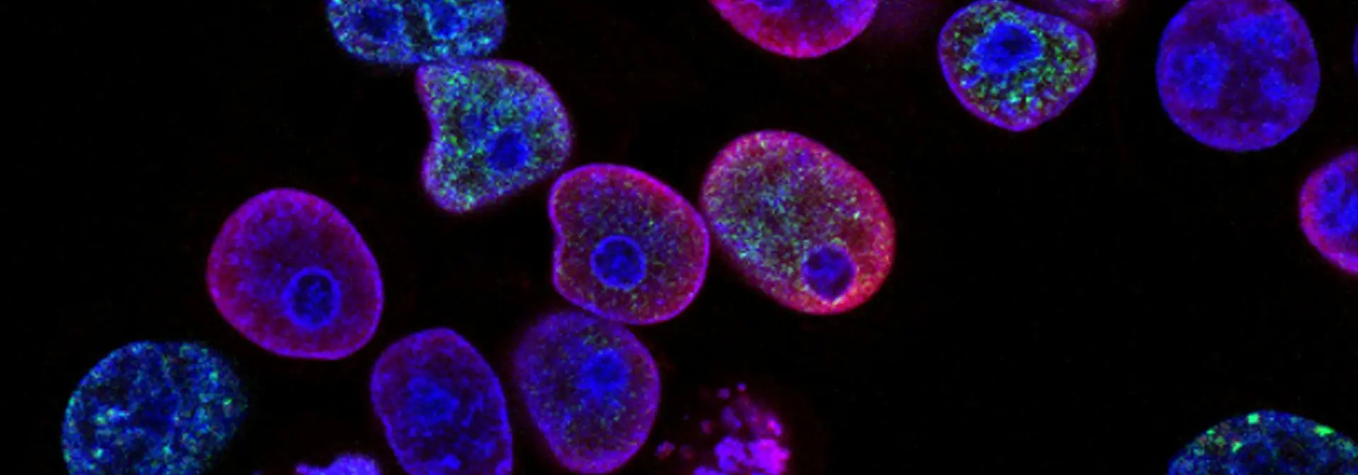 life-sciences-banner