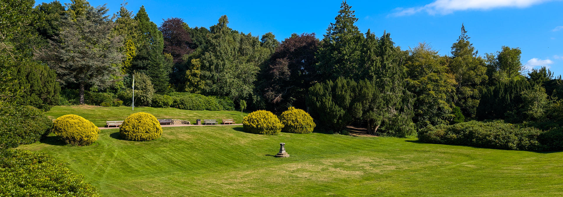 Lawn of grass on Edinburgh campus