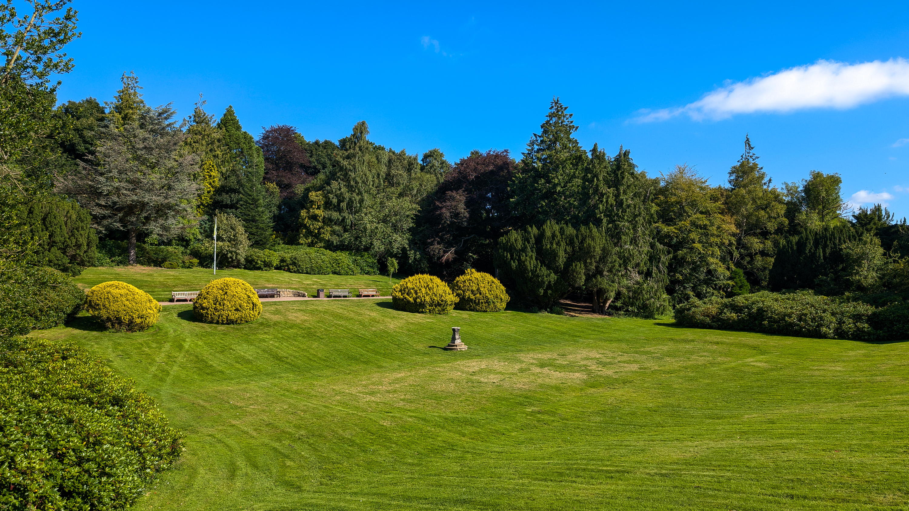 Photography of the lawn of grass on Edinburgh campus.
