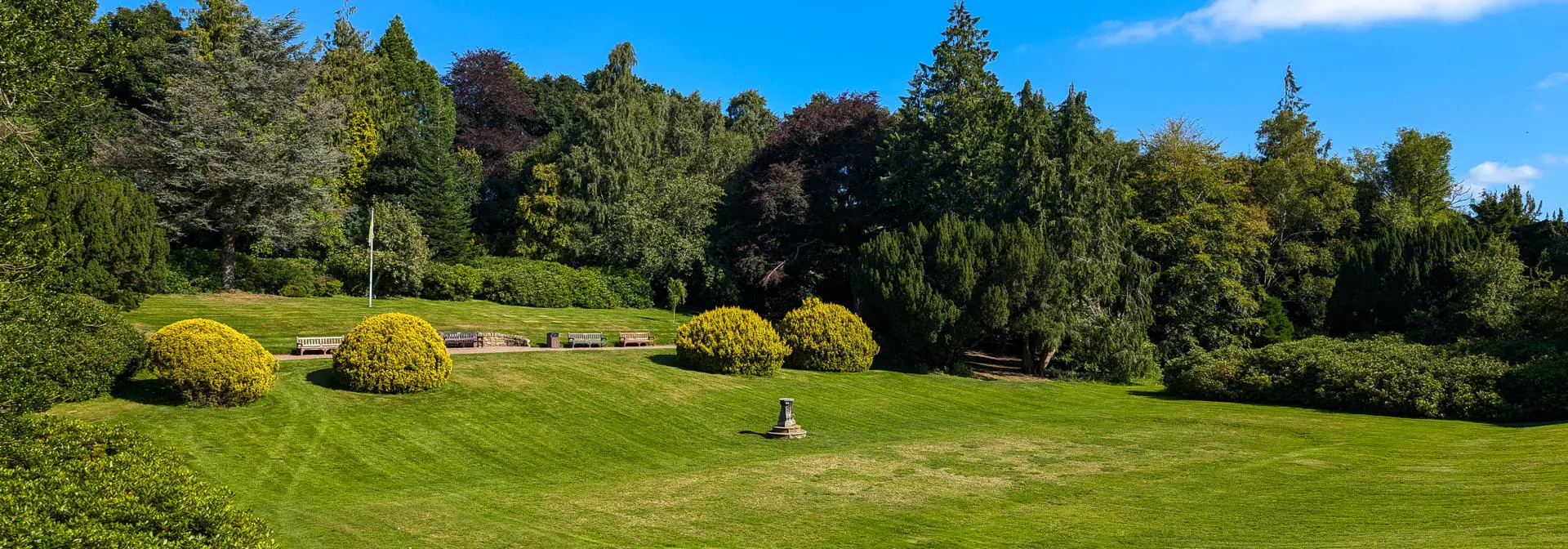 Lawn of grass on Edinburgh campus