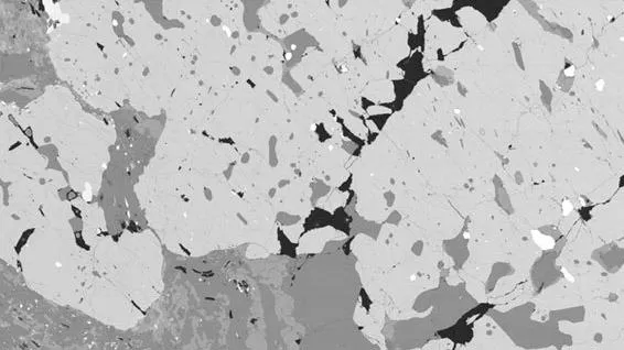 Garnet schist (metamorphic rock), from a thin section. BSE image taken in high vacuum mode, showing contrast between different mineral phases; composite of stitched images with a horizontal field of view of approximately 8mm
