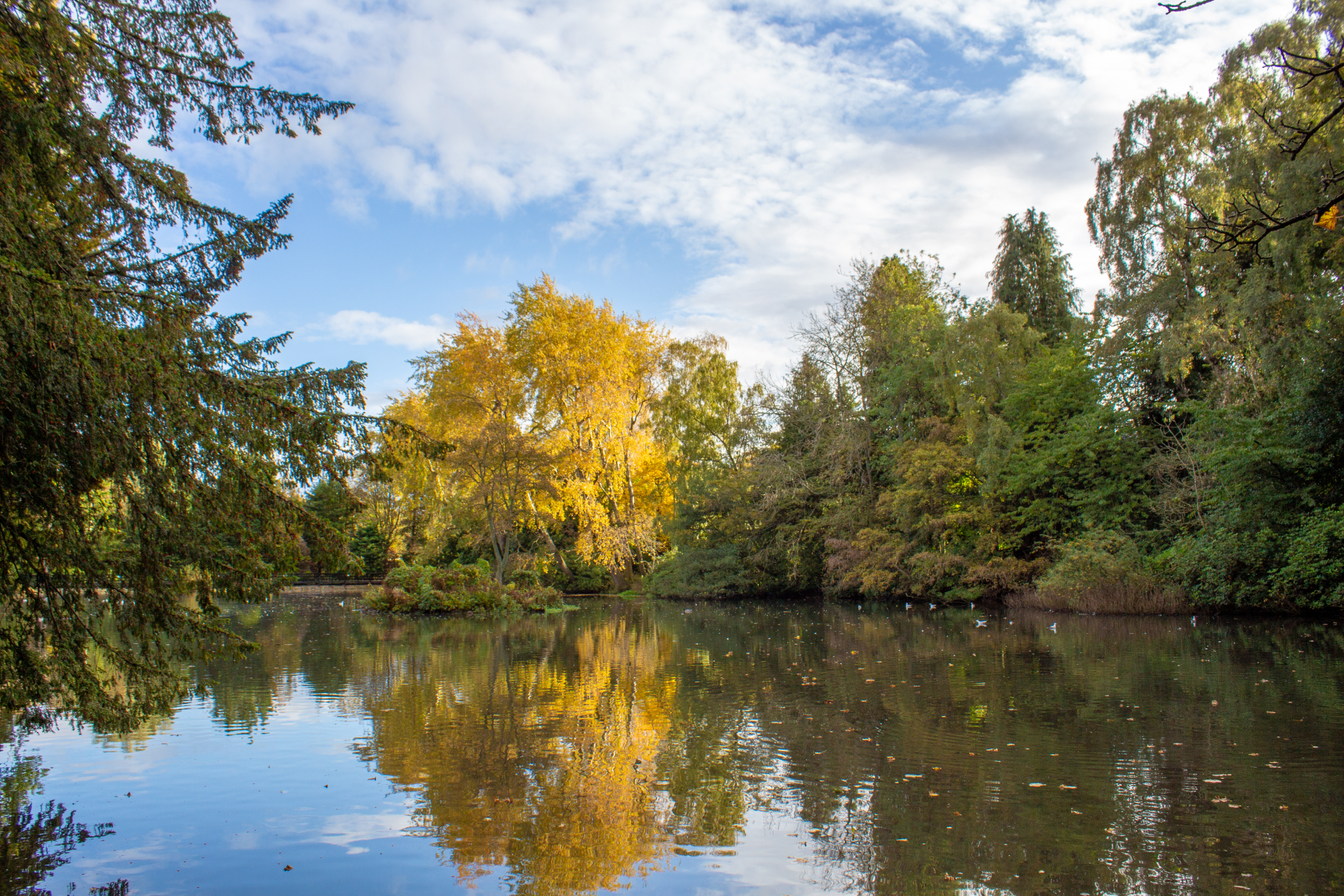 Picture overlooking the loch in Edinburgh with autumnal trees in the background.