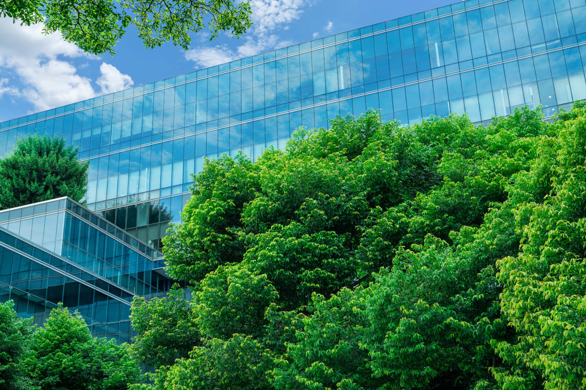 Net Zero