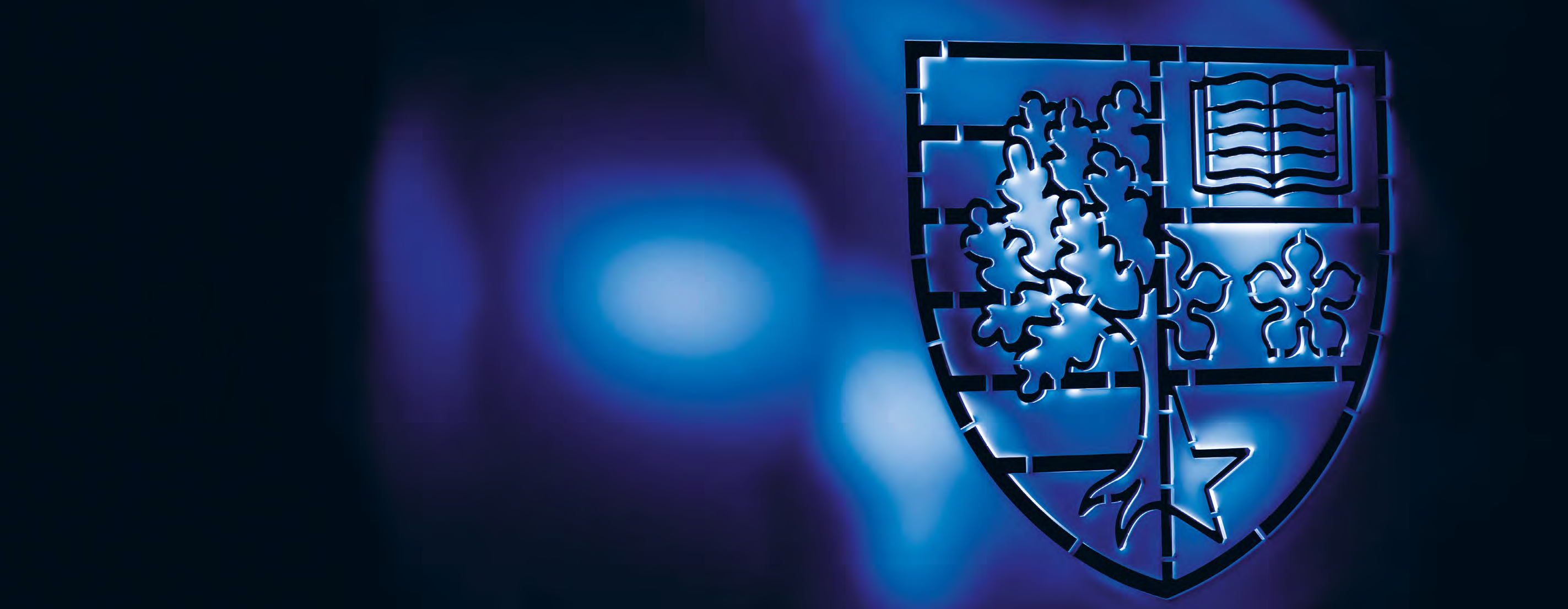 Shield