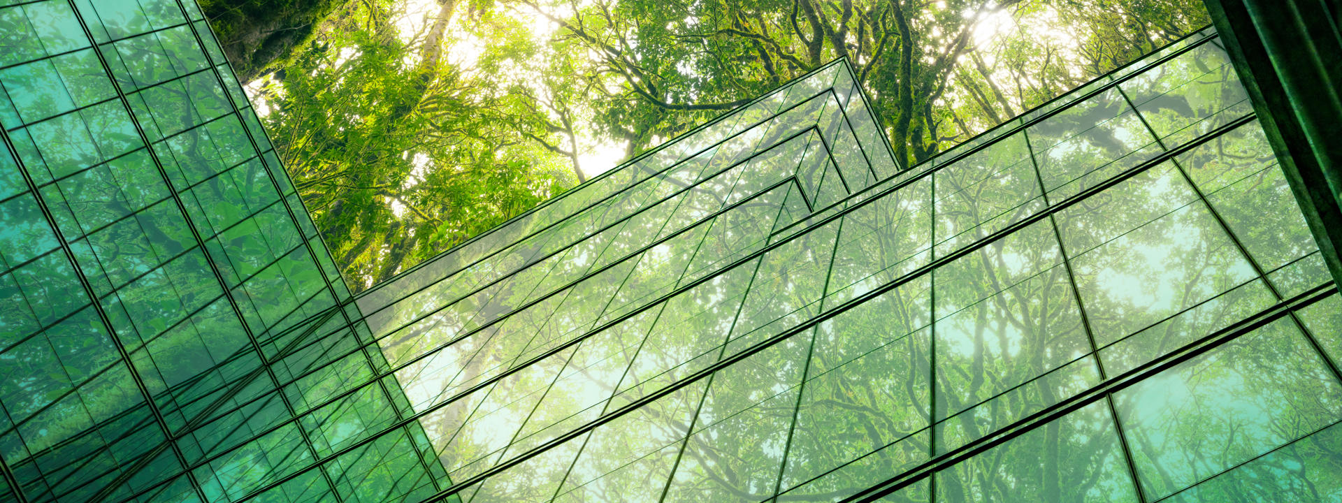 Green glass windows with greens trees above