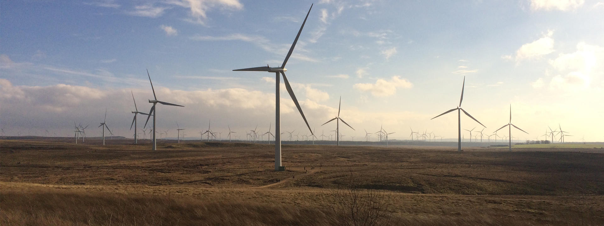 Wide view of a wind farm with multiple large wind turbines.