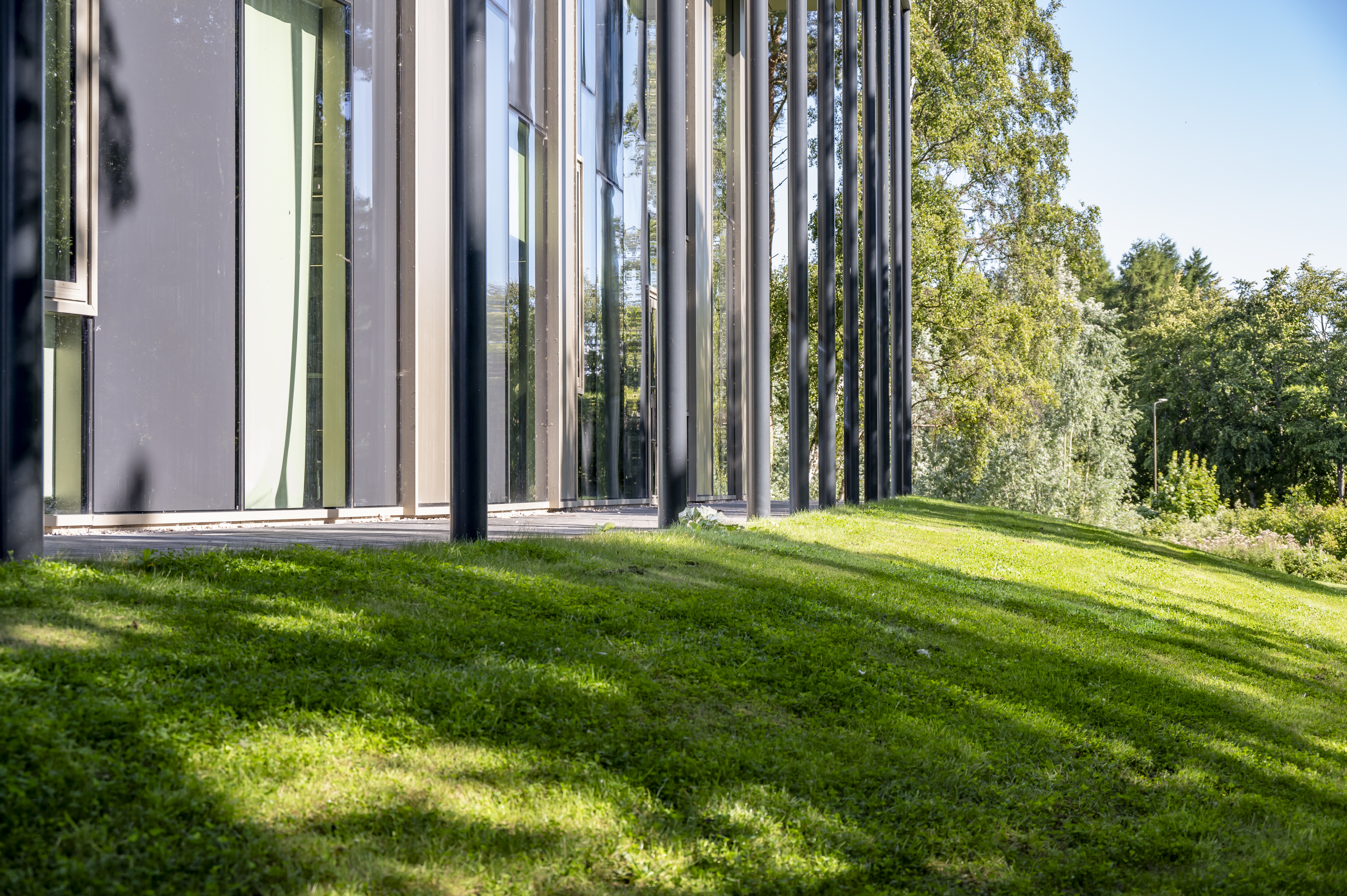 An environmentally friendly building in the sunlight  