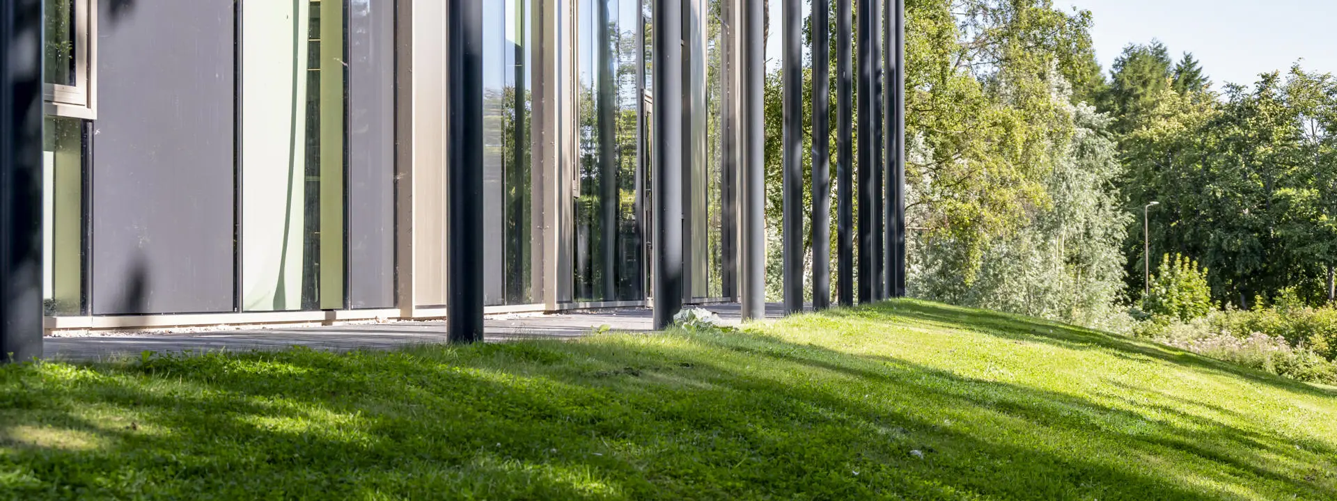 An environmentally friendly building in the sunlight