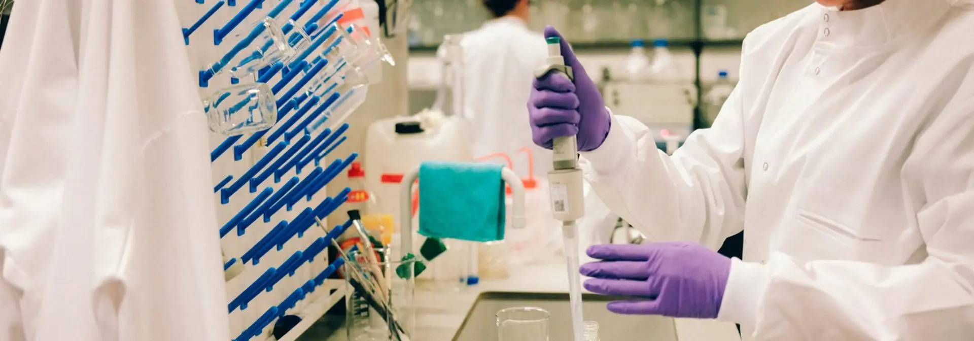 Portal to our research Large