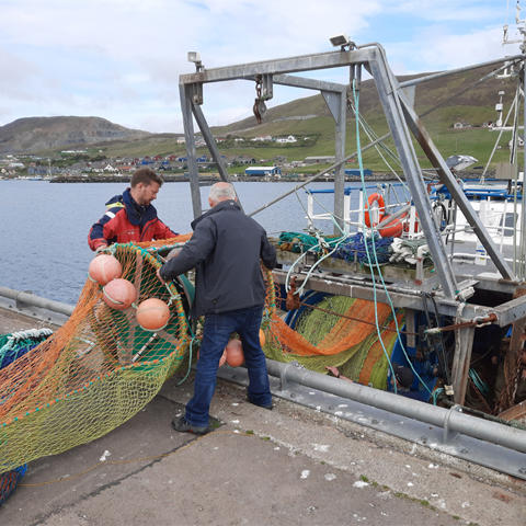Fisheries Innovation Scotland