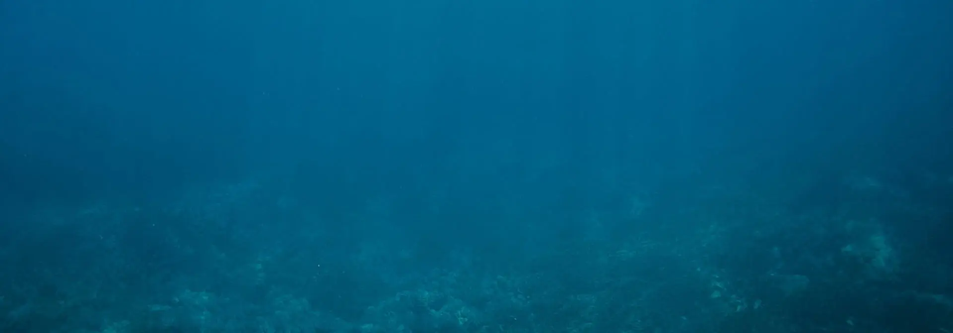 bi-underwater-seabed