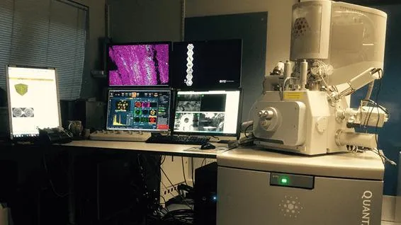 Quanta FEG 650 SEM suite
