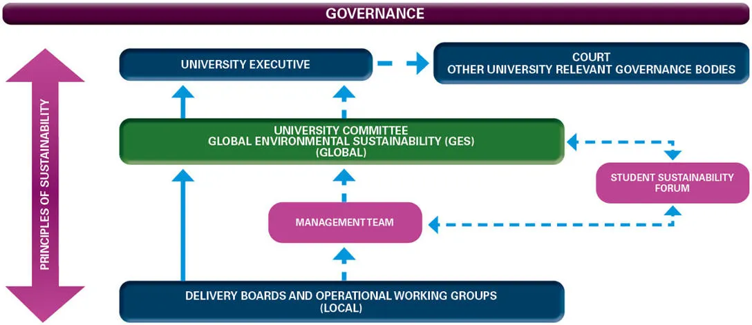 Flowchart showing the governance process at the University