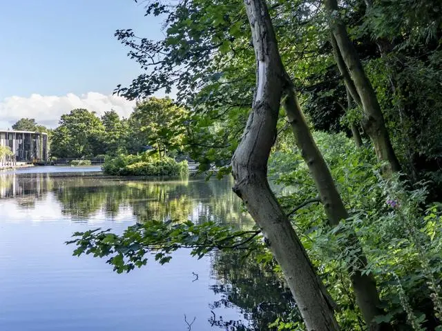 The tranquil loch bordered by trees, with the GRID building visible in the background.