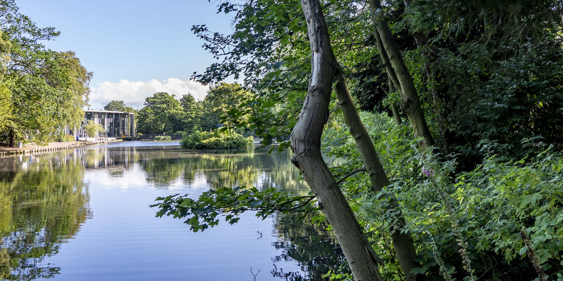 green loch