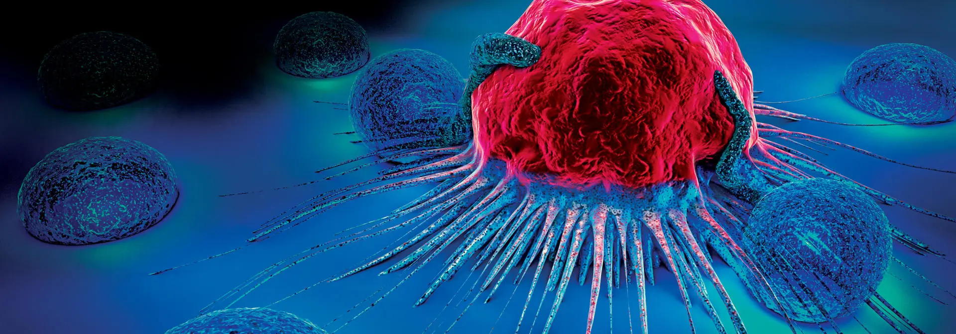 transform-healthcare